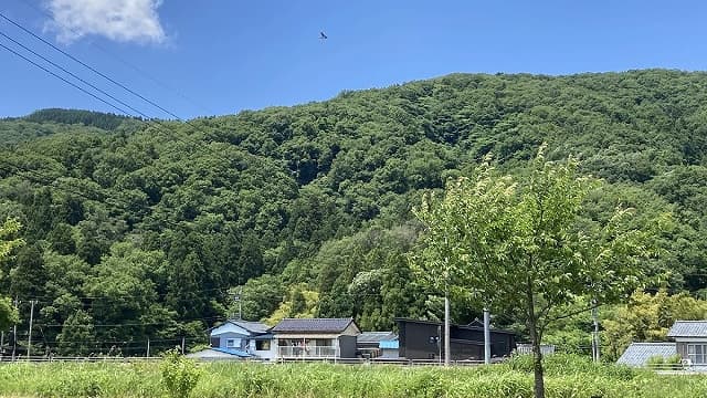 福井県福井市の北堀貝塚