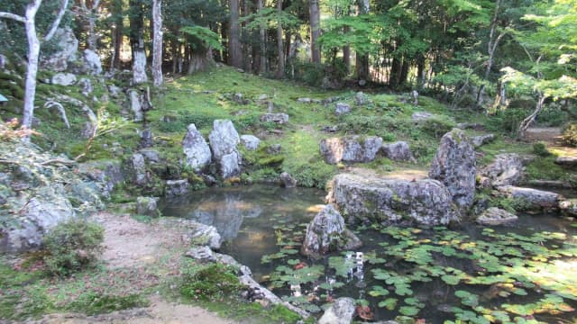 福井県小浜市の円照寺庭園