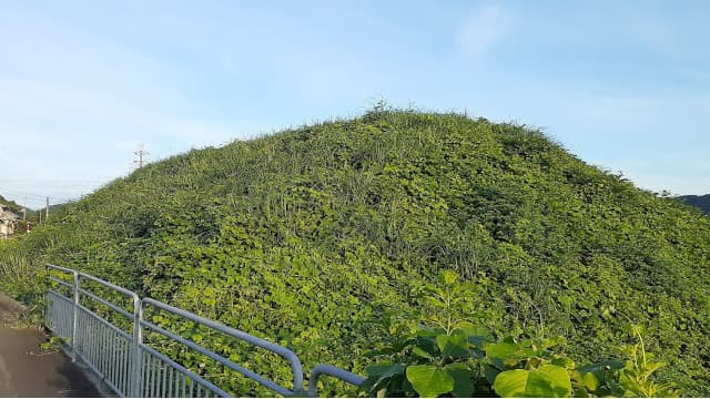 福井県三方上中郡の十善の森古墳