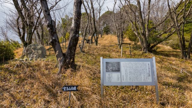 滋賀県大津市の皇子山古墳