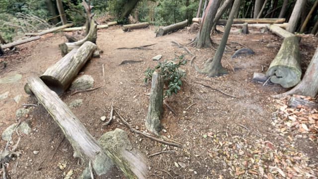 滋賀県大津市の善法院庭園