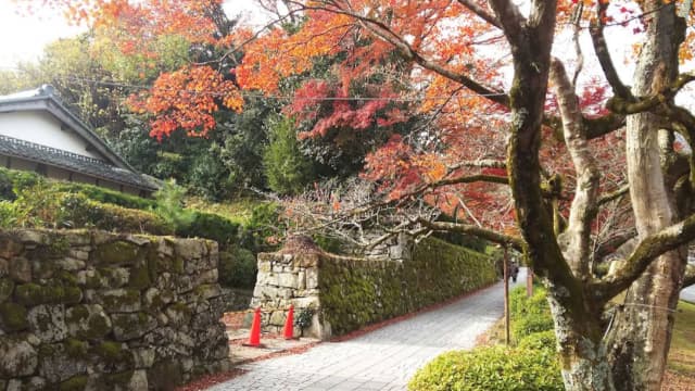 滋賀県大津市の延暦寺坂本里坊庭園（佛乗院庭園）