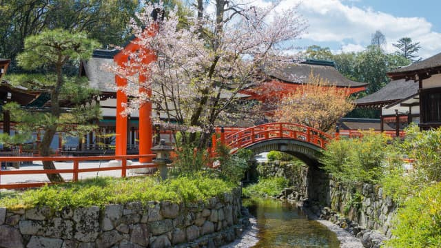 京都府京都市の賀茂御祖神社境内