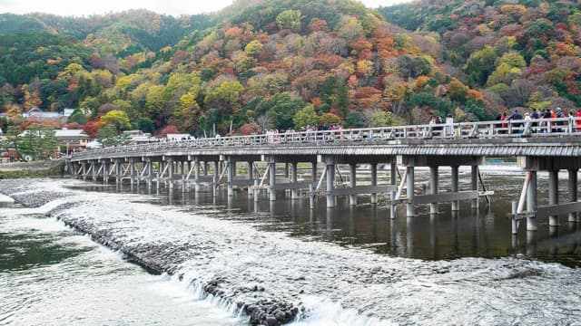 京都府京都市の嵐山
