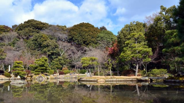 京都府京都市の法金剛院青女滝附五位山