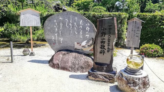 京都府京都市の随心院境内