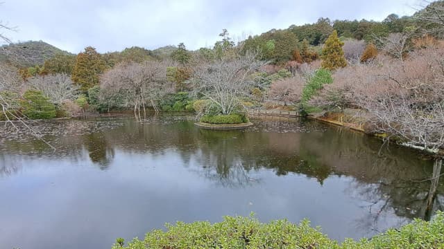 京都府京都市の龍安寺庭園