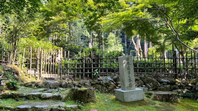 京都府京都市の高山寺境内