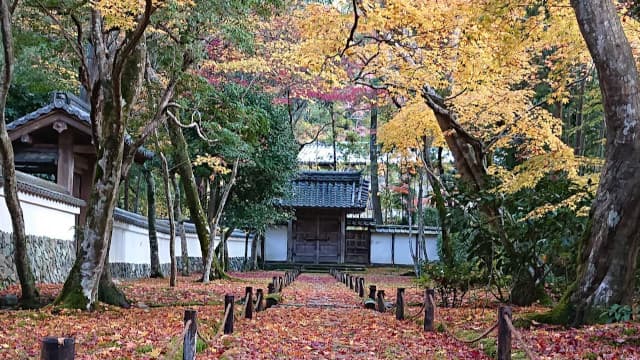 京都府京都市の西芳寺庭園