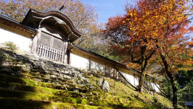 京都府京都市の常照皇寺境内