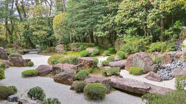 京都府京都市の退蔵院庭園