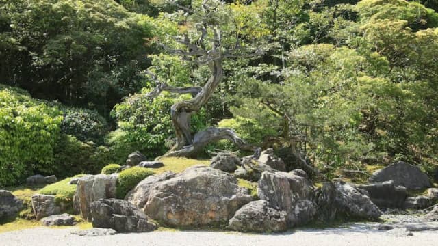 京都府京都市の金地院庭園
