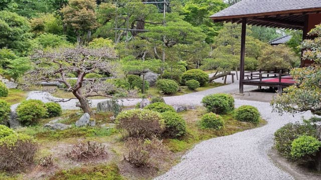 京都府京都市の曼殊院書院庭園