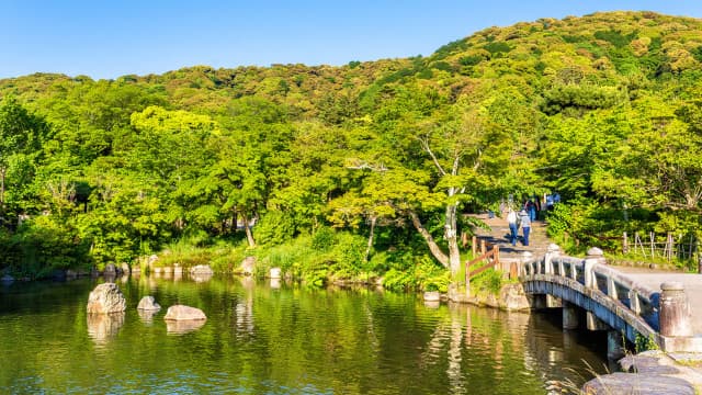 京都府京都市の円山公園