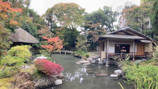 京都府京都市の白沙村荘庭園