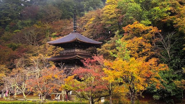 京都府舞鶴市の金剛院庭園
