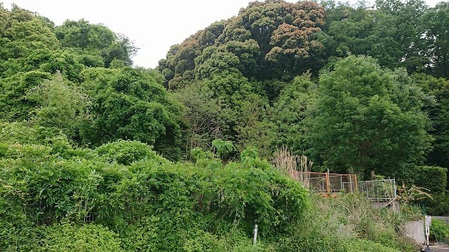 京都府宇治市の宇治古墳群