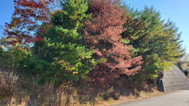 兵庫県神戸市の白水瓢塚古墳