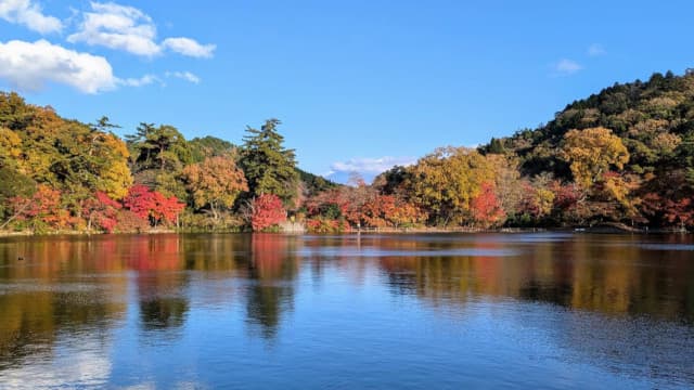 兵庫県神戸市の再度公園・神戸外国人墓地
