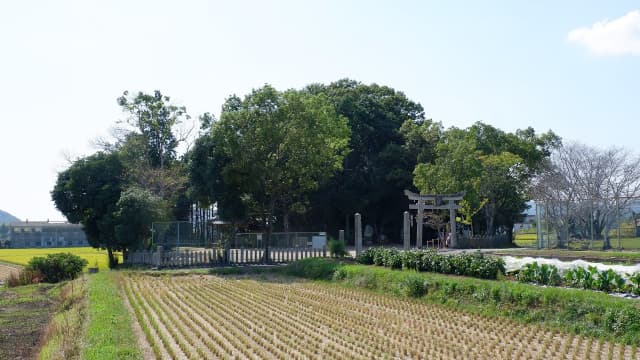 兵庫県姫路市の諏訪の岩穴