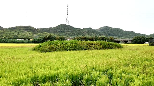 兵庫県姫路市の見野長塚古墳