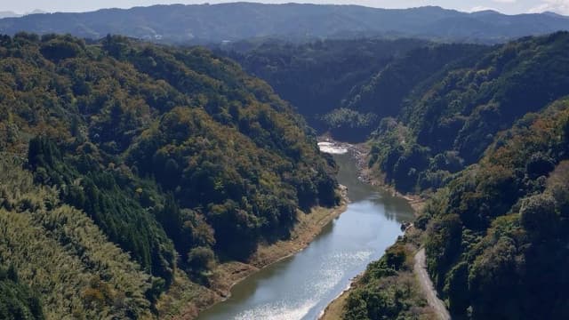 奈良県奈良市の月瀬梅林（月ヶ瀬梅渓）