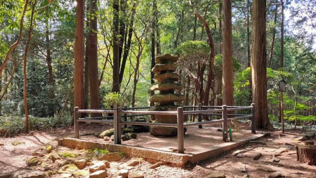 奈良県奈良市の塔の森