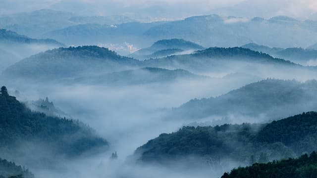 奈良県吉野郡の吉野山上千本