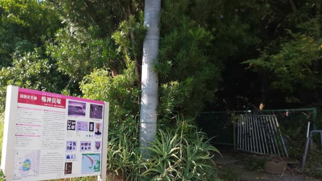 和歌山県和歌山市の鳴神貝塚