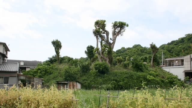 和歌山県和歌山市の釜山古墳群