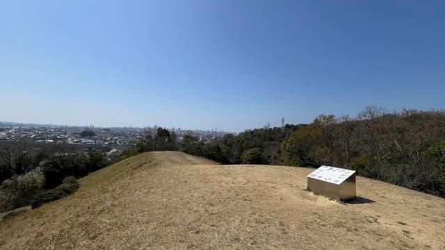 和歌山県和歌山市の大谷古墳