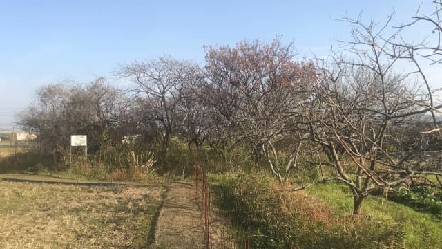 和歌山県和歌山市の山口廃寺跡