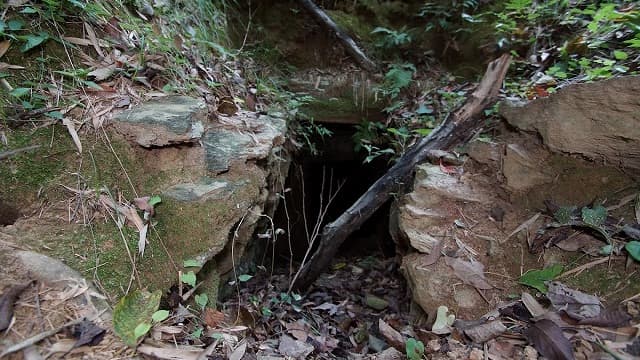 和歌山県海南市の室山古墳（中言神社）