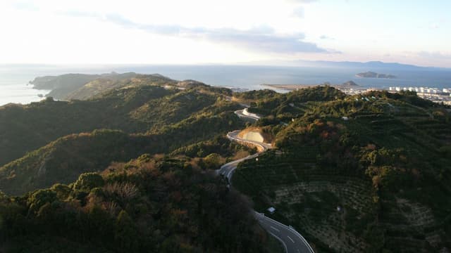 和歌山県有田市の有田みかん海道
