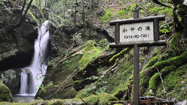 和歌山県田辺市の百間山渓谷