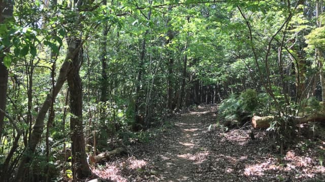 和歌山県田辺市の大峯奥駈道