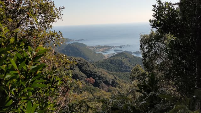和歌山県田辺市の熊野参詣道（大辺路）
