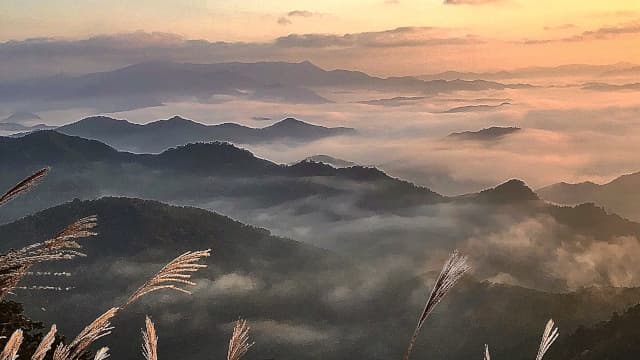 和歌山県田辺市の紀伊山地