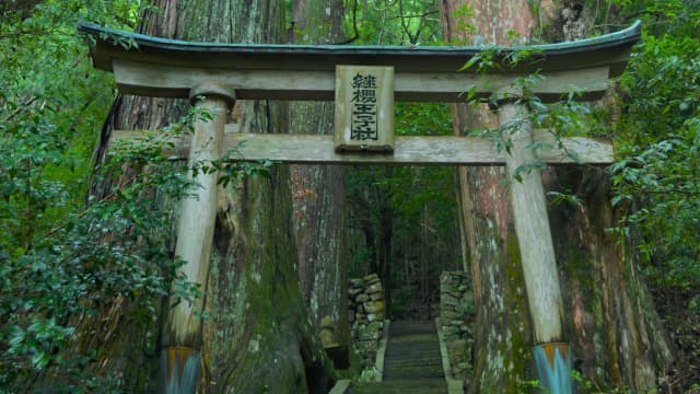 和歌山県田辺市の南方曼陀羅の風景地（継桜王子）