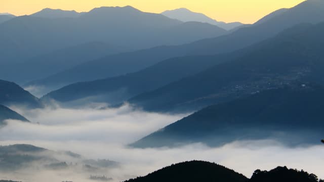 和歌山県新宮市の熊野参詣道（中辺路）