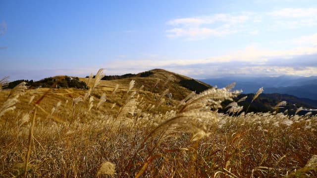 和歌山県海草郡の生石高原