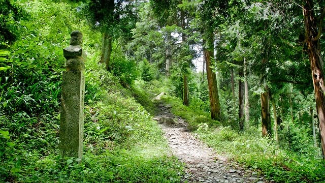 和歌山県伊都郡の高野参詣道（町石道）