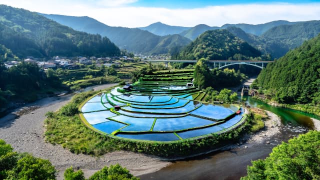 和歌山県有田郡の蘭島及び三田・清水の農山村景観