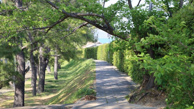 和歌山県有田郡の広村堤防