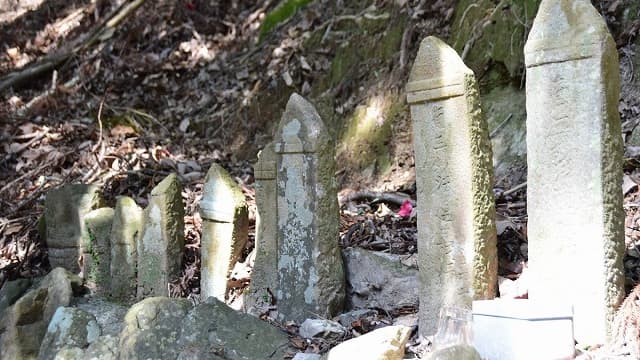 和歌山県有田郡の鹿ヶ瀬峠