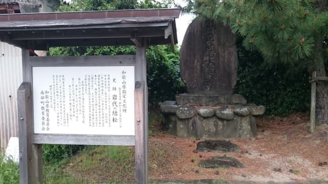 和歌山県日高郡の岩代の結松