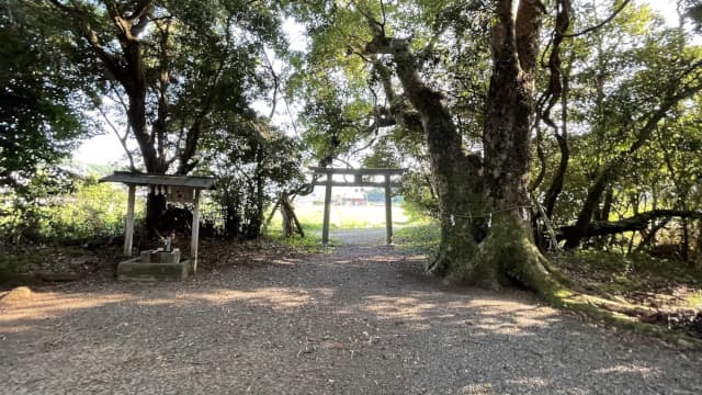 和歌山県西牟婁郡の南方曼陀羅の風景地（田中神社）