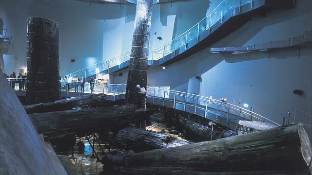 島根県大田市の三瓶小豆原埋没林公園