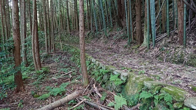 島根県鹿足郡の山陰道（野坂峠越）