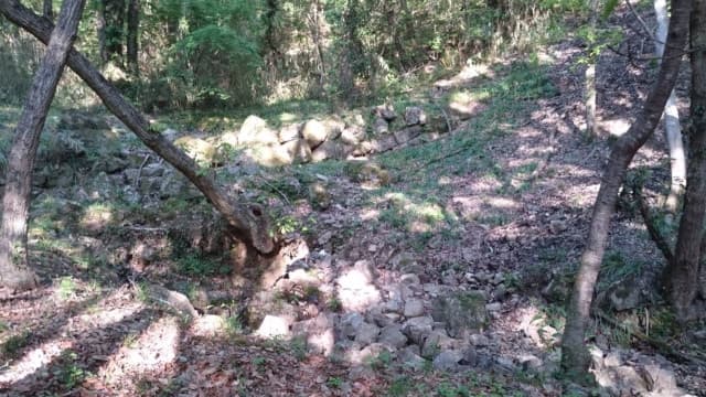岡山県岡山市の大廻小廻山城跡